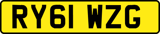 RY61WZG