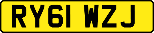 RY61WZJ
