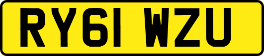 RY61WZU