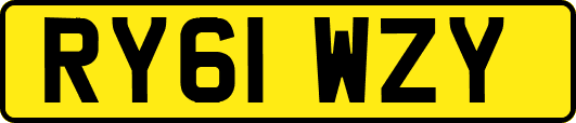 RY61WZY