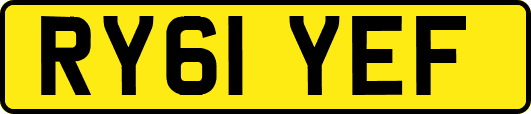 RY61YEF