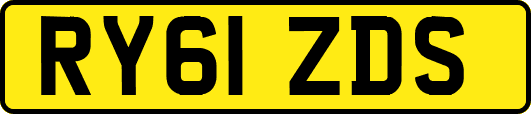 RY61ZDS