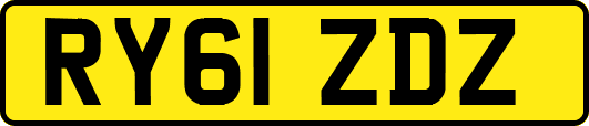 RY61ZDZ
