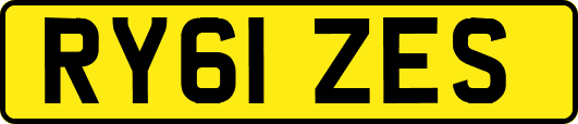 RY61ZES