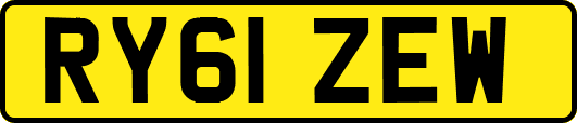 RY61ZEW