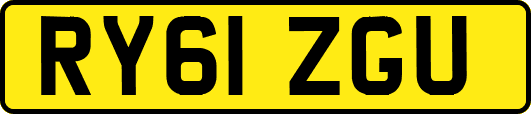 RY61ZGU