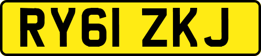 RY61ZKJ
