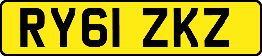 RY61ZKZ