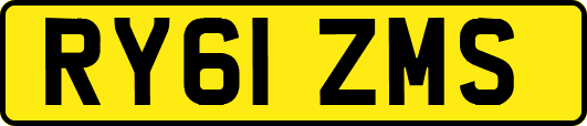 RY61ZMS