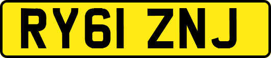 RY61ZNJ