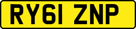 RY61ZNP