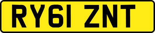 RY61ZNT
