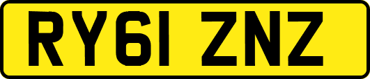 RY61ZNZ