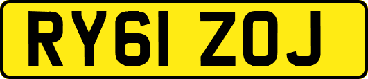 RY61ZOJ