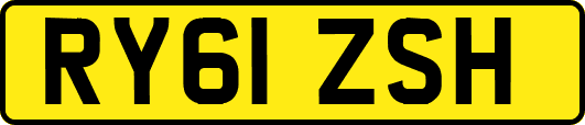 RY61ZSH