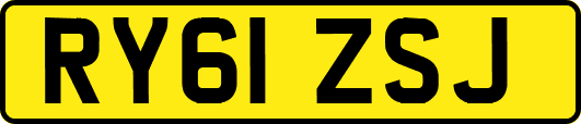 RY61ZSJ