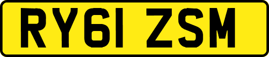 RY61ZSM