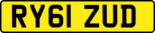 RY61ZUD