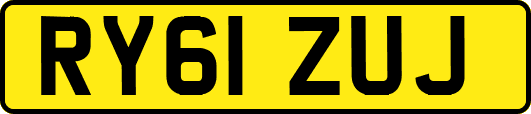 RY61ZUJ