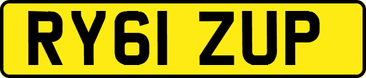 RY61ZUP