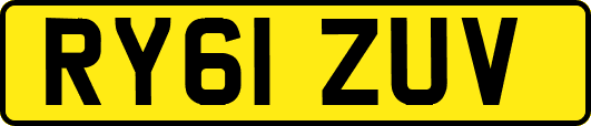 RY61ZUV