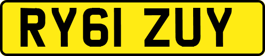 RY61ZUY