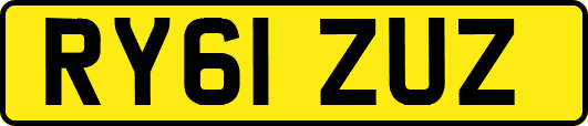 RY61ZUZ