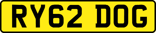 RY62DOG