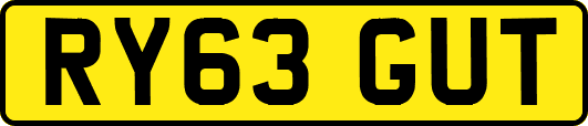 RY63GUT