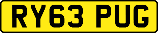 RY63PUG