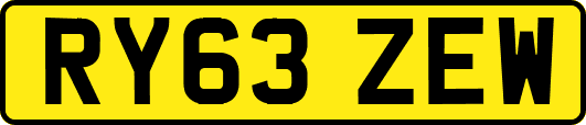 RY63ZEW