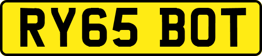 RY65BOT