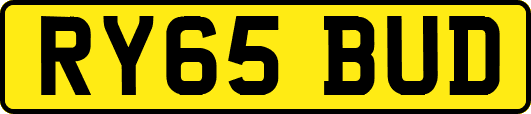 RY65BUD