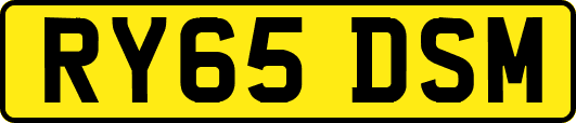 RY65DSM
