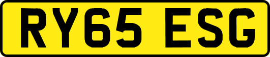 RY65ESG