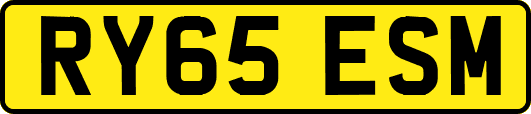 RY65ESM