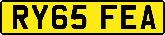 RY65FEA