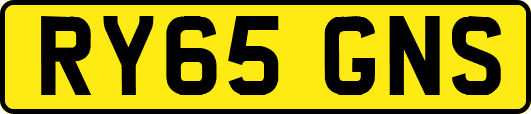 RY65GNS