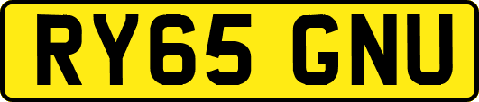 RY65GNU