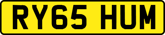 RY65HUM