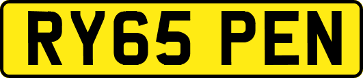 RY65PEN