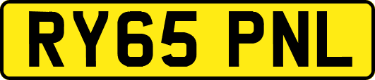 RY65PNL