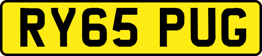 RY65PUG