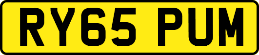 RY65PUM
