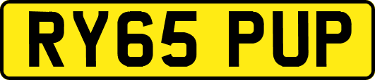 RY65PUP