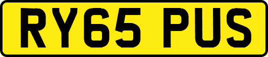 RY65PUS