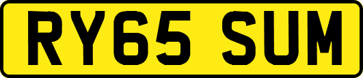 RY65SUM