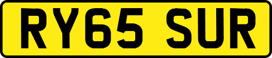 RY65SUR