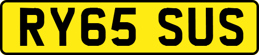 RY65SUS