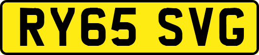 RY65SVG